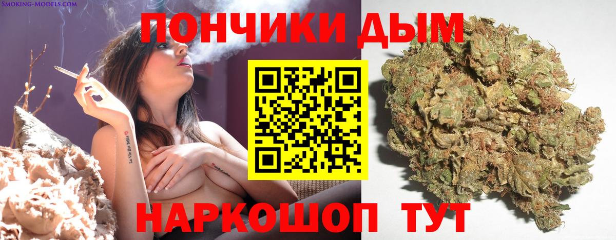 МАРИХУАНА тримм  Бошки Шишки Ganja  Бошки марихуана Bruce Banner  Бошки Шишки план  Тверь  Вход с VPN 