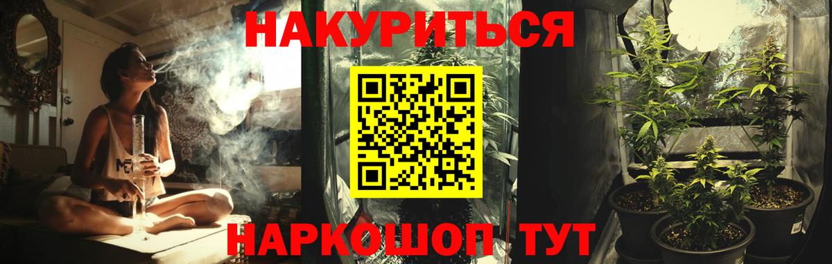МАРИХУАНА сатива Тверь